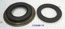 Комплект (2 шт) обрезиненных поршней, 0B5, DL501 (DSG) 2008-Up 123008B-TK (PISTONS AND RETAINERS)