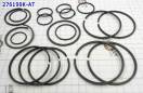 Комплект (18 шт) компрессионных колец (тефлоновых и чугунных), A518 / 276199K-AT (SEALING RINGS)
