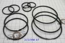 Комплект (10 шт) компрессионных тефлоновых колец RE4F04A / B/V / 4F20E 315199K-AT (SEALING RINGS)