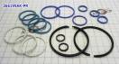Комплект компрессионных тефлоновых колец (17шт) BTR DSI-6 M74 Sealing 366199AK-PR (SEALING RINGS)