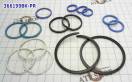 Комплект компрессионных тефлоновых колец (15шт) BTR DSI-6 M78 Sealing 366199BK-PR (SEALING RINGS)