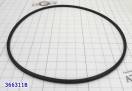 Уплотнительное кольцо крышки насоса BTR M78 (насос позиция 366520) 366311B (SEALING RINGS)