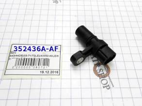 (Заказывать по позиции 330436B-AF) Датчик Оборотов, Sensor Speed A43 / (ELECTRICALS)