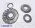 Комплект обрезиненных поршней (4шт) 0BH DSG (DQ500), 0BT DSG (DQ500), 128008A-PT (PISTONS AND RETAINERS)